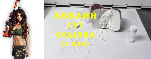 крисы Магас