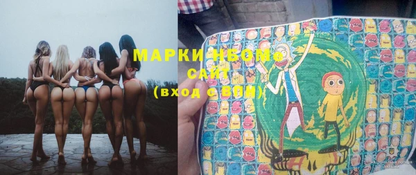 крисы Магас