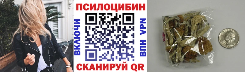 цены   MEGA сайт  Псилоцибиновые грибы GOLDEN TEACHER  Михайловск 