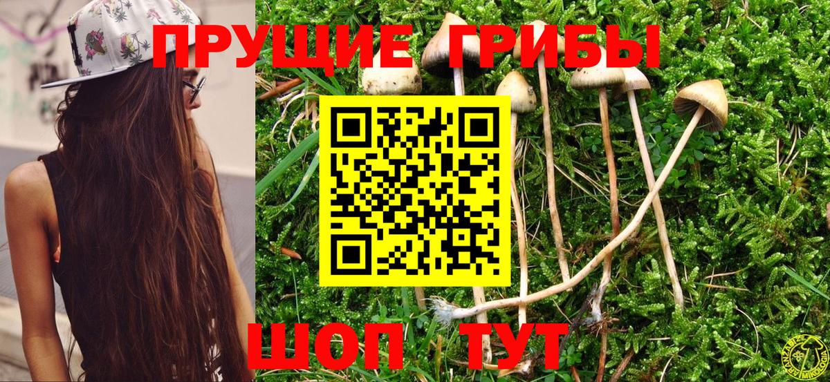 Галлюциногенные грибы прущие грибы Михайловск