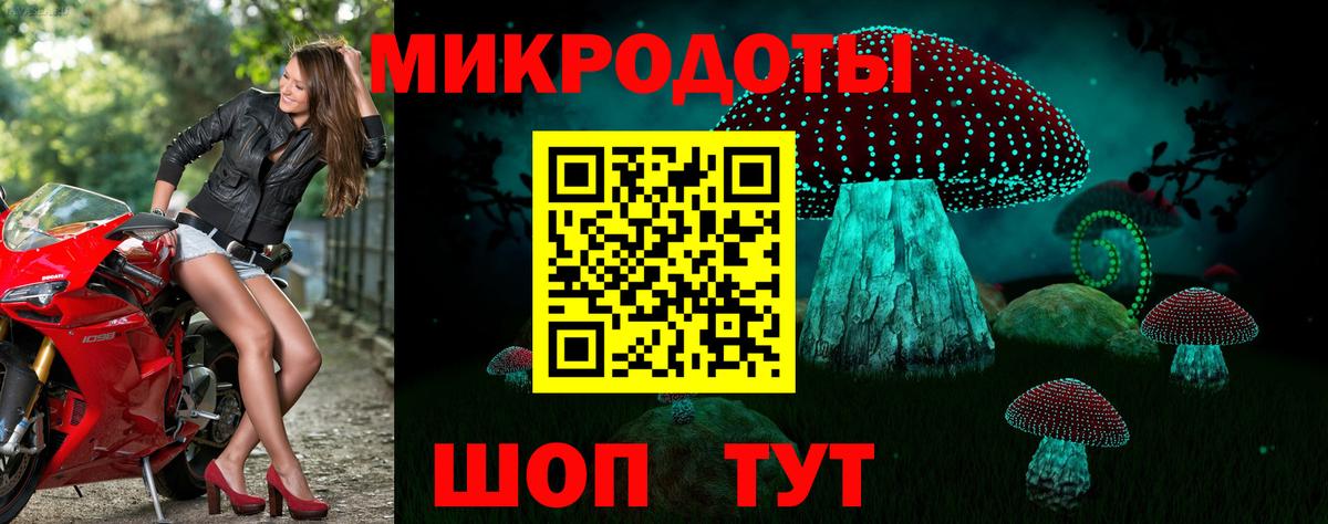 Псилоцибиновые грибы Psilocybe  Вход с VPN  Галлюциногенные грибы мухоморы  Михайловск 
